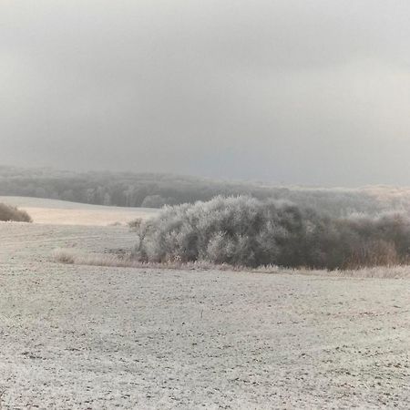 Ferienwohnung Uckermarkblick Ziehten Exterior foto